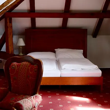 Guest house Ludwig - Penzion&restauracia *