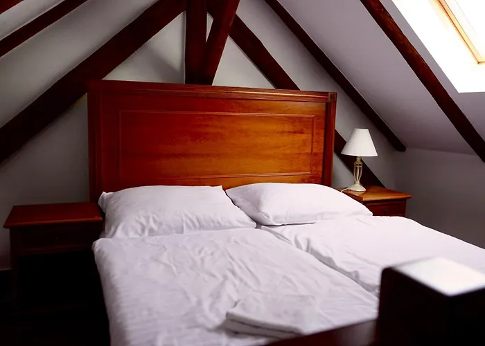 Ludwig - Penzion&restauracia Pensjonat *